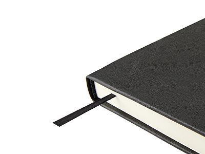 Ежедневник недатированный А5 Status