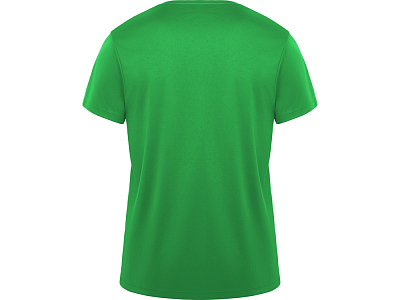 Спортивная футболка Daytona мужская