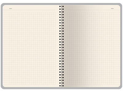 Бизнес тетрадь А5 Pragmatic