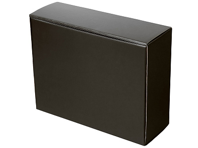 Коробка подарочная Raven, XL