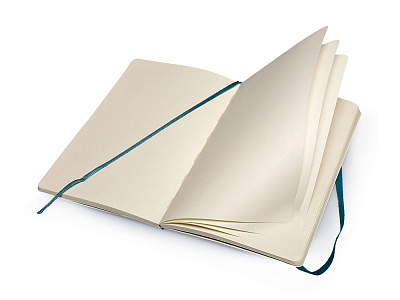 Записная книжка А5  (Large) Classic Soft (нелинованный)