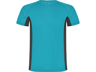 Спортивная футболка Shanghai мужская (Бирюзовый/графитовый)