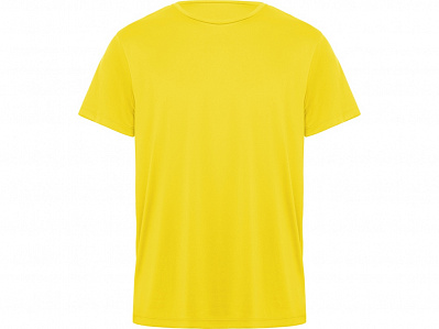 Спортивная футболка Daytona мужская (Желтый)