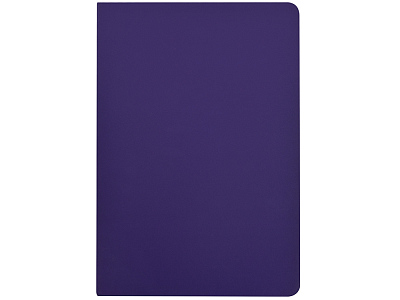 Бизнес-тетрадь А5 Pragmatic Contrast