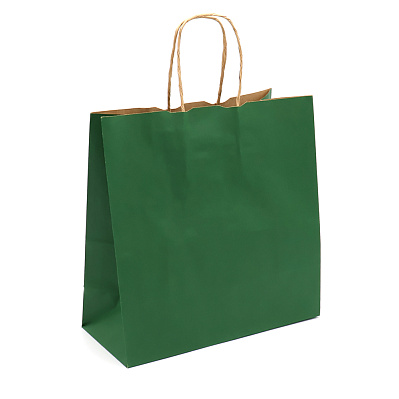 Пакет бумажный HAYA, Папоротниковый (Папоротниковый)