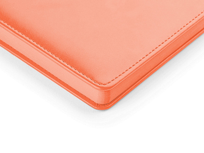 Ежедневник недатированный А5 Polo