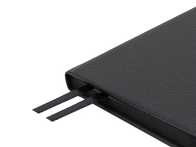 Ежедневник А5 датированный Megapolis Nappa на 2026