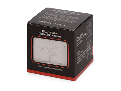 Подарочный набор Вырасти Бонсай дома. Жасмин