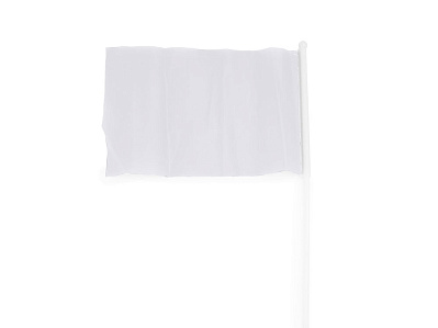 Флаг CELEB с небольшим флагштоком (Белый)