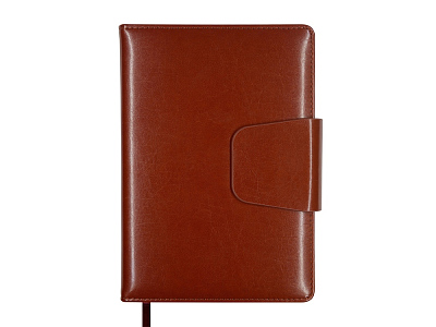 Ежедневник недатированный А5 Prestige