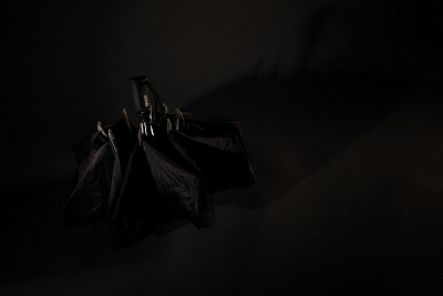 Автоматический складной зонт Swiss Peak из rPET AWARE™, d116 см