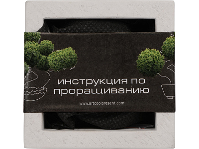 Подарочный набор Вырасти Бонсай дома. Годжи