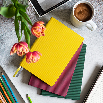 Ежедневник Рейн (Rain) недатированный, бургунди