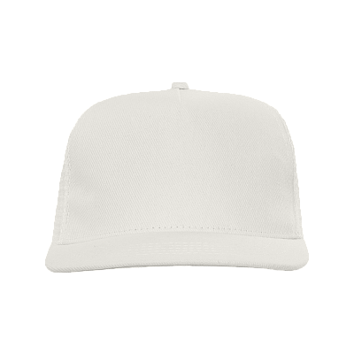 Бейсболка прямой козырёк STAN 5 клиньев хлопок 330, 09