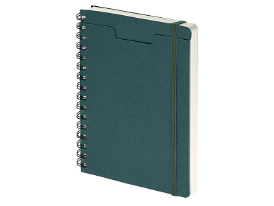 Ежедневник недатированный А5 Pragmatic