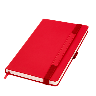 Ежедневник Альфа (Alpha) недатированный, красный/серый