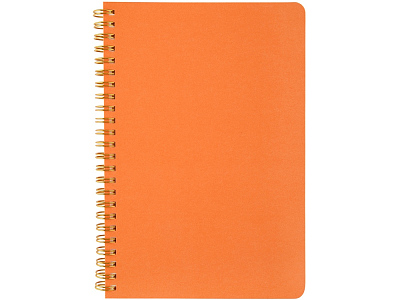 Бизнес тетрадь А5 Pragmatic