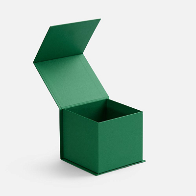 Коробка Alian, зеленая