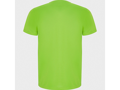 Спортивная футболка Imola мужская