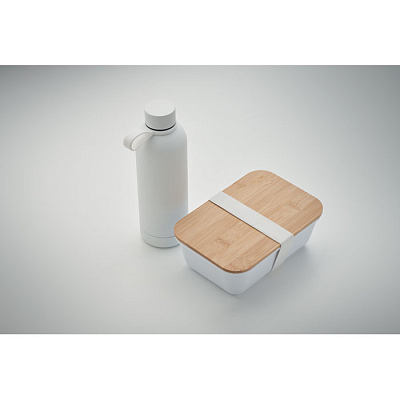 Ланчбокс и бутылка в наборе