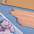 Набор цветных карандашей KINDERLINE middlel,12 цветов, дерево, картон - Фото 6