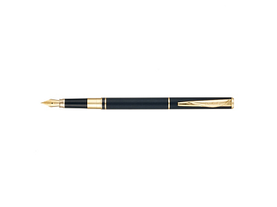 Ручка 2 в 1 шариковая и перьевая Combi Pen