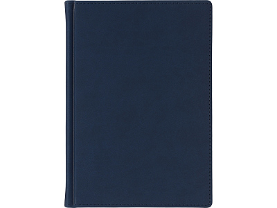 Ежедневник недатированный А5 Velvet