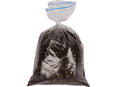 Подарочный набор Вырасти Бонсай дома. Жасмин