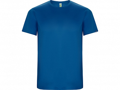 Спортивная футболка Imola мужская (Королевский синий)