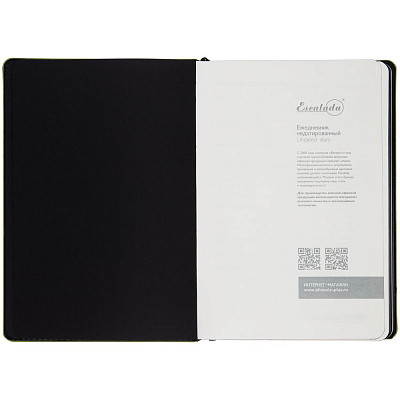 Ежедневник Alanis, недатированный, черный с зеленым