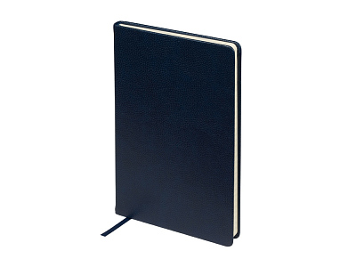 Ежедневник недатированный А5 Megapolis Loft