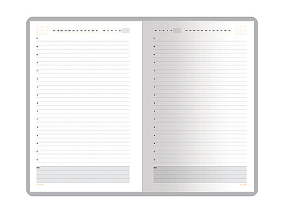 Ежедневник недатированный А5 Mercury