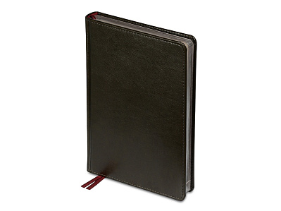 Ежедневник недатированный А5 Parliament (Тёмно-серый)