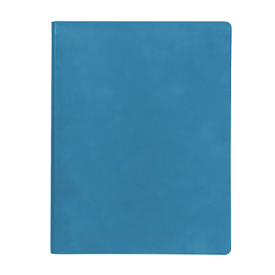 Бизнес-блокнот BIGGY, формат B5,  в клетку