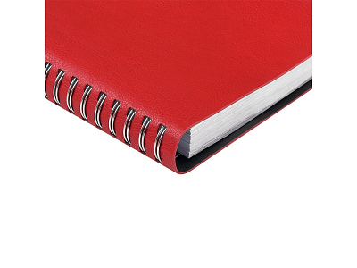 Ежедневник полудатированный А5 Orbit