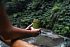 Стакан из переработанного полипропилена GRS с бамбуковой крышкой, 300 мл - Фото 6