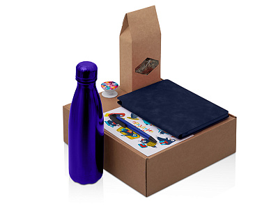 Набор Teanote с термобутылкой, блокнотом, ручкой и чаем (Синий, темно-синий)