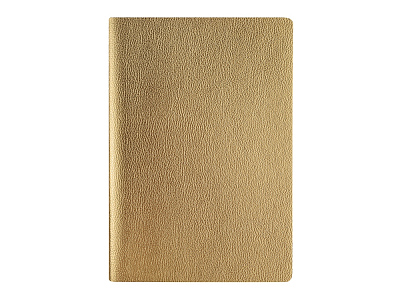 Бизнес тетрадь А5 Megapolis Velvet flex