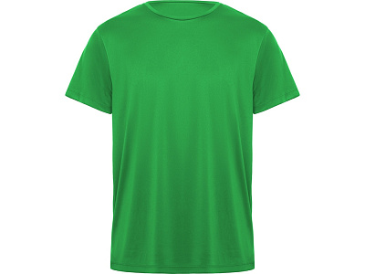 Спортивная футболка Daytona мужская (Папоротниковый)