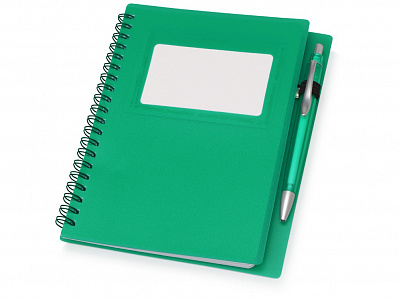 Блокнот Контакт с ручкой (Зеленый, серебристый)