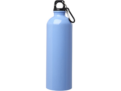 Одностенная бутылка для воды с карабином Oregon, 750 мл