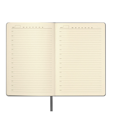 Ежедневник Molto недатированный, серебряный