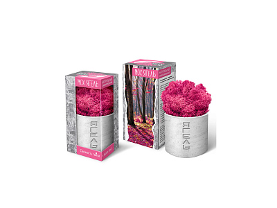 Мох Ягель натуральный