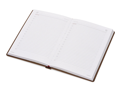 Ежедневник недатированный А5 Velvet