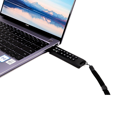 Флешка с аппаратным шифрованием DataLock PRO4 USB 3.2, черный, 128Гб