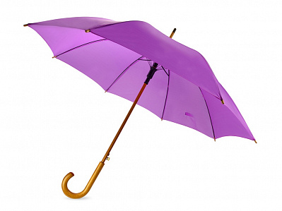 Зонт-трость Радуга (Фиолетовый)