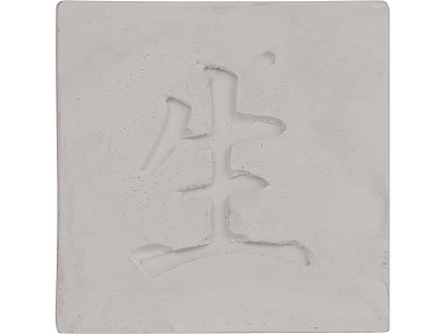 Подарочный набор Вырасти Бонсай дома. Айва Японская