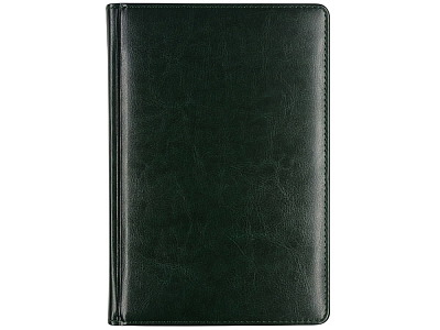 Ежедневник недатированный А5 Parliament