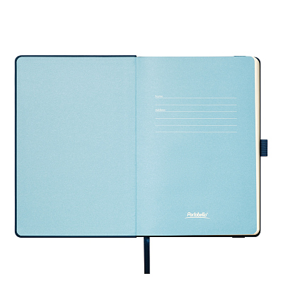 Ежедневник Альфа (Alpha) недатированный, синий/голубой