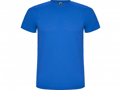 Спортивная футболка Detroit мужская (Королевский синий/светло-синий)